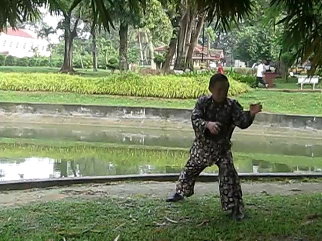 Shaolin 72 Chin-Na Techniques 2015